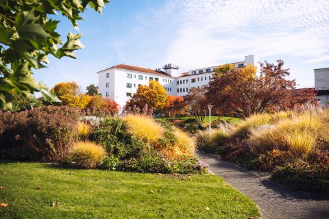 DSCF2814 (kopie).jpg